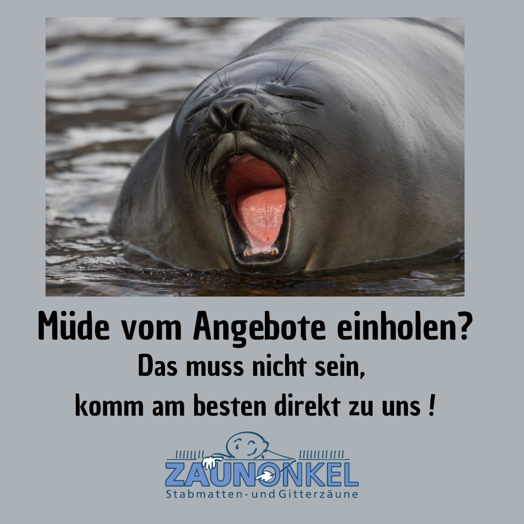 Hundezaun Projekt 3